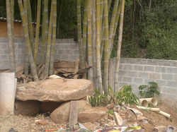 PROJETO RESPONSÁVEL - BIOARQUITETURA