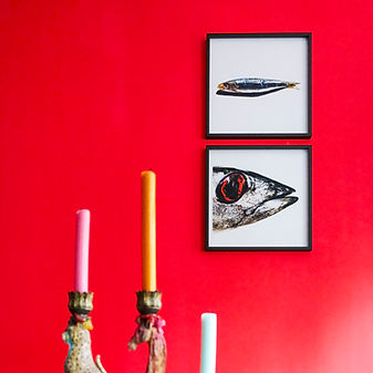 rotaugenfisch-sardine-set-kunstdruck-gerahmt.jpg