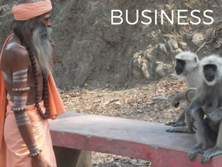 MONKEY BUSINESS