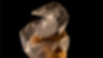 ree