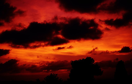 Did Jesus Descend.jpg