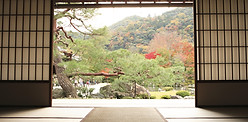 View of Meditation Garden