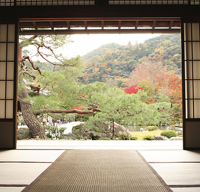 View of Meditation Garden