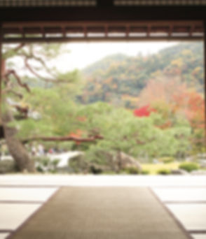 View of Meditation Garden