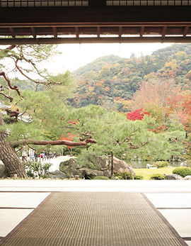 View of Meditation Garden