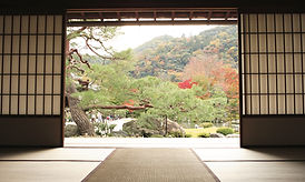 calm landscape