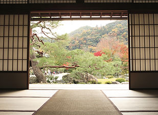 Japanese Garden View