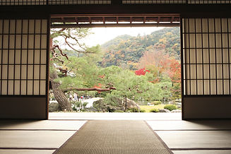 Vue sur le jardin japonais