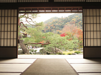 View of Meditation Garden