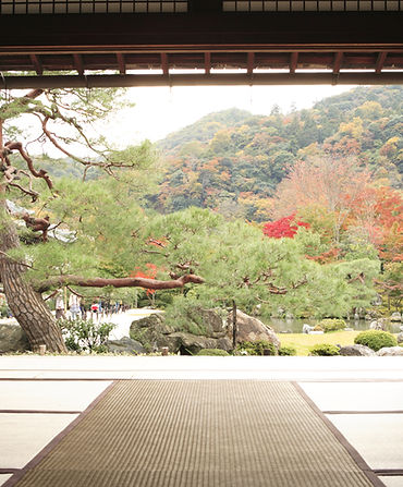 View of Meditation Garden