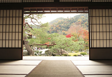 Japan Nature