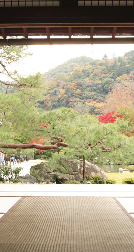 View of Meditation Garden
