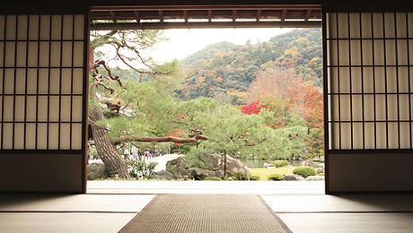 Meditation 