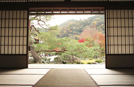 View of Meditation Garden
