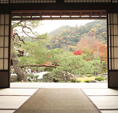 View of Meditation Garden