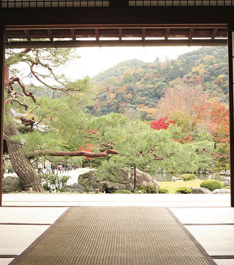 View of Meditation Garden