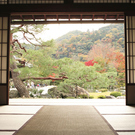 The Journey Continues