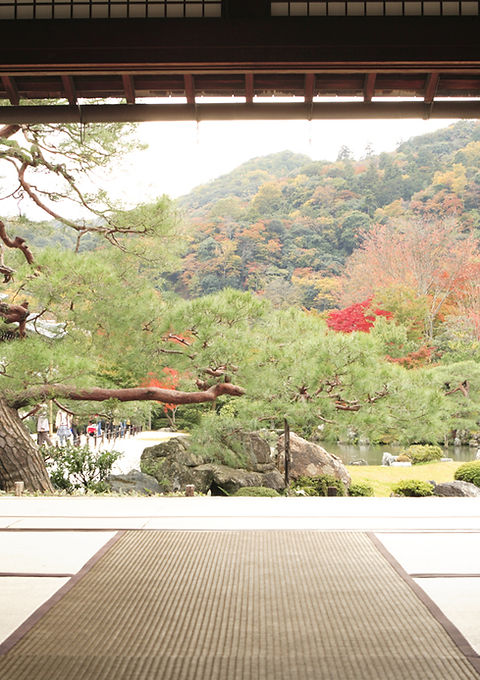 View of Meditation Garden