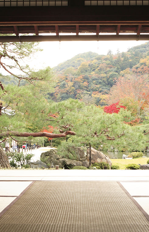 View of Meditation Garden