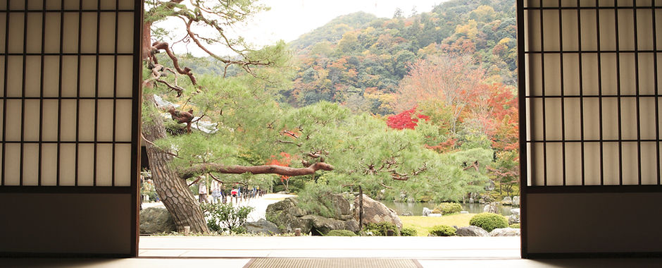 View of Meditation Garden