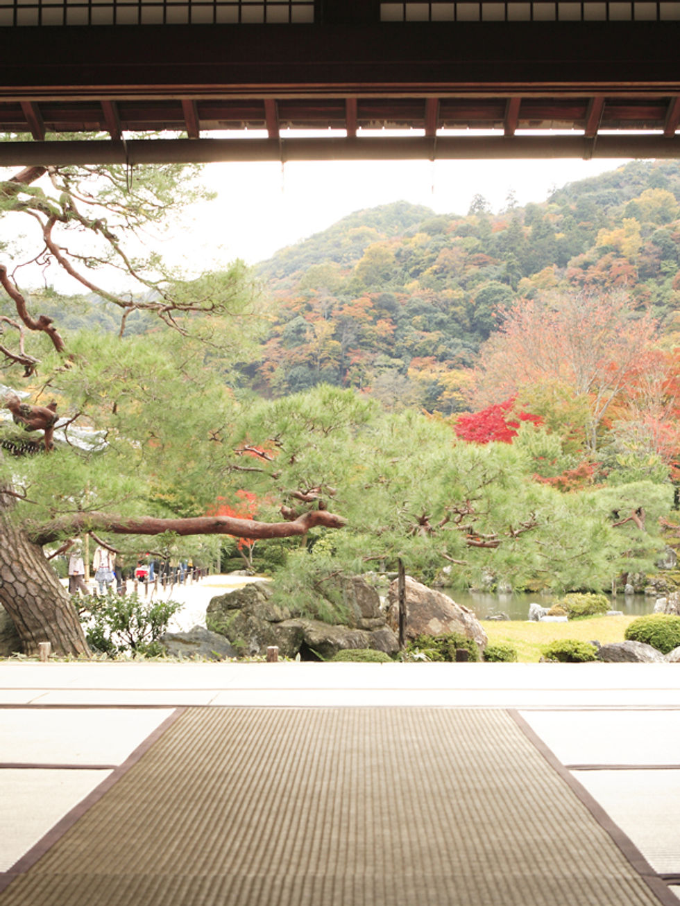 Meditation Class