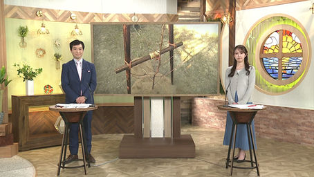 3月9日、愛媛県松山市萬翠荘で四国初のシドモア桜の植樹式