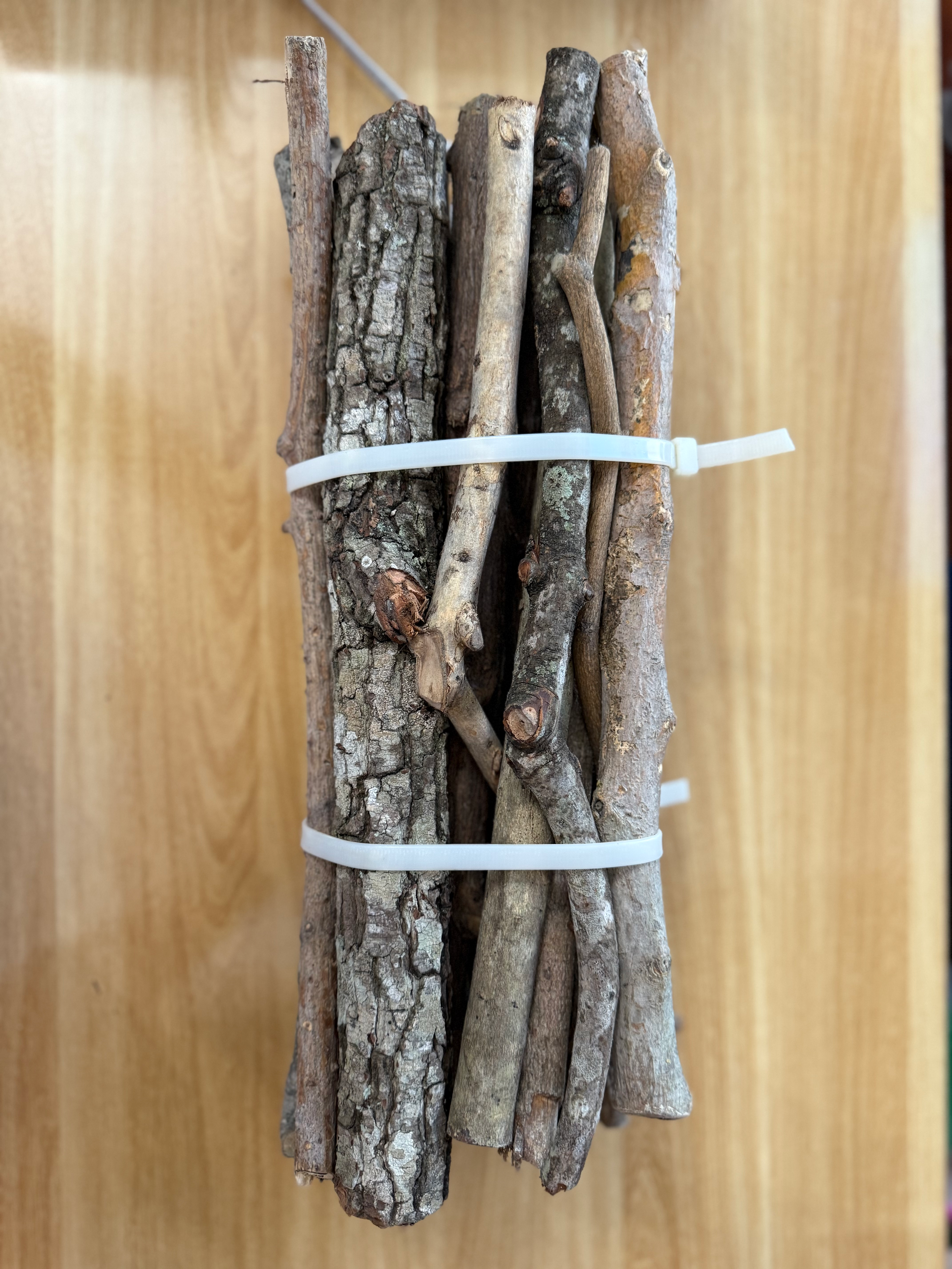 Carga de 21 Palos (Santería / Palo Mayombe