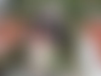 Novi zakon o obnovljivim izvorima energije u RH (2025): Što donosi i kako utječe na korisnike?