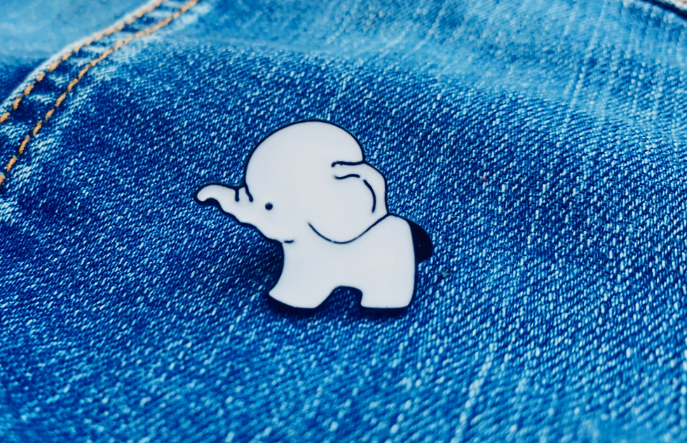 Thumbnail: BFF elephants