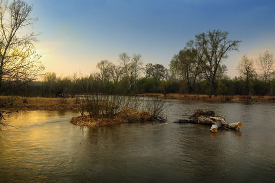 spring-2271477_1920.jpg