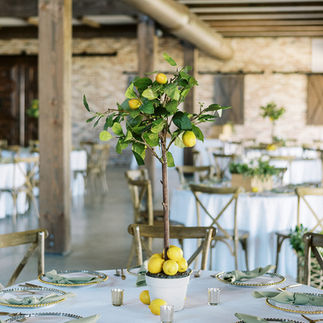 Tuscan Themed wedding decor