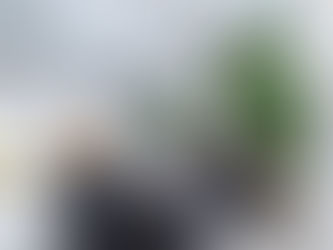 Seznamte se, udržitelnost v interiérovém designu