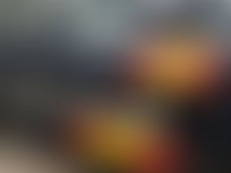 Cinco detenidos en Mallorca por desobediencia tras incumplir el estado de alarma