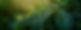 74_edited.jpg
