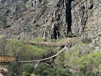Dare to walk along the Mondego walkways