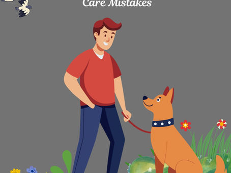 15 Shocking Common Pet Care Mistakes New Owners Make