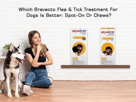 Bravecto Chewables vs Bravecto Topical: Which Flea & Tick Treatment Should You Choose in 2025?