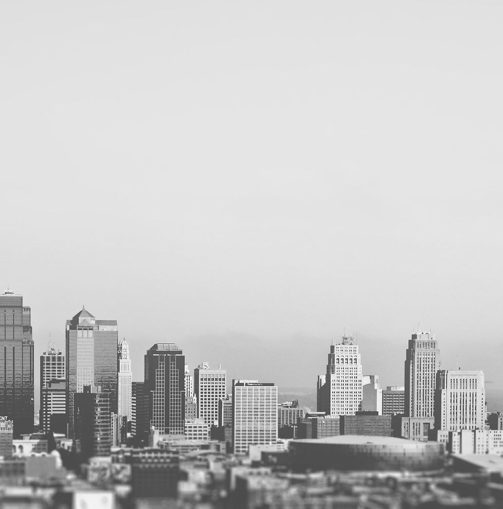 Black and White Skyline