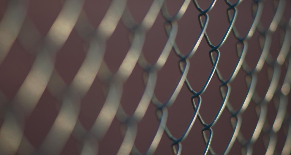 WhatsApp Image 2025-09-21 at 7_edited.jpg