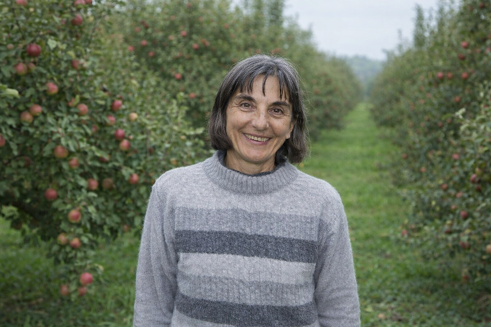 Marie-Claire-Meyer_Jus-de-pomme.png