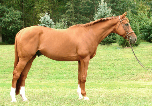 Sales | Cold Spring Farm PA