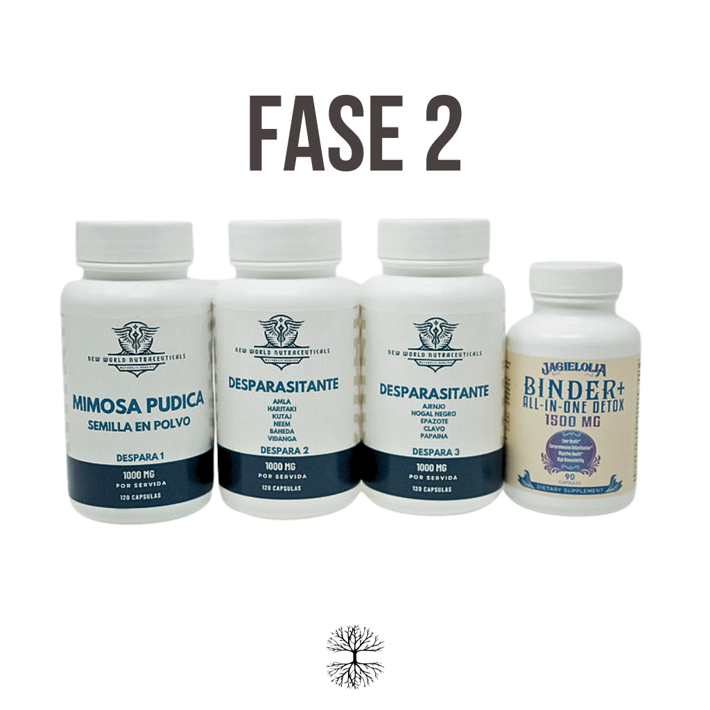 Kit completo para fase 2