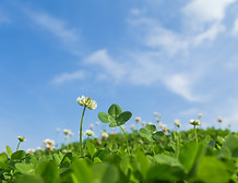 AdobeStock_106975470.jpeg