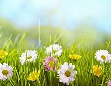 AdobeStock_134486040.jpeg