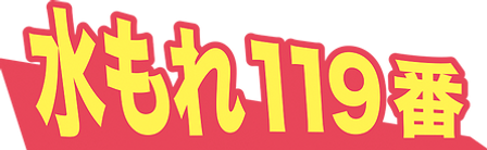 水もれ119番