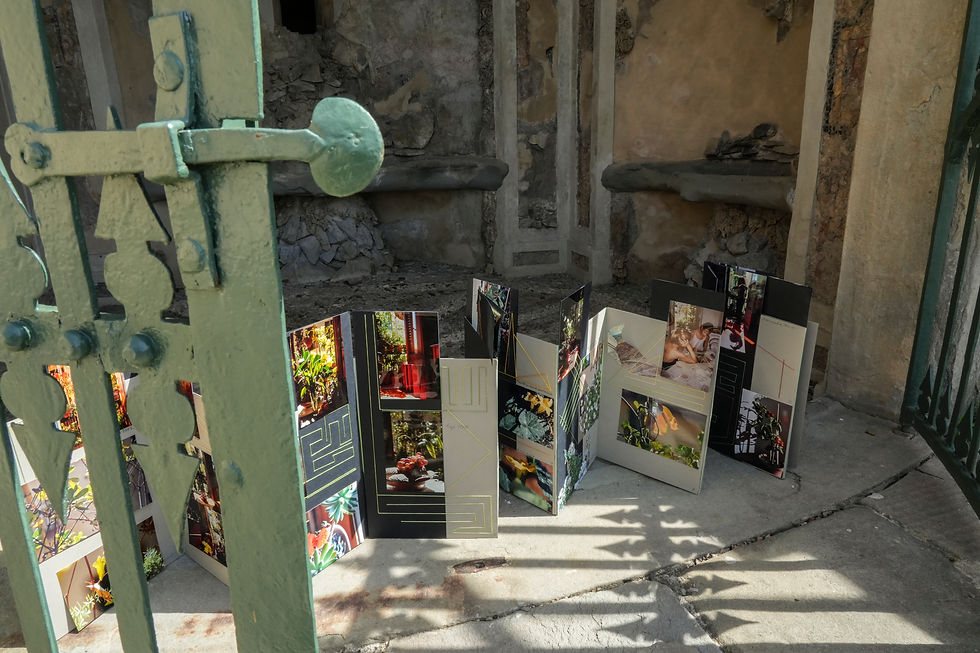 Other Gardens: Elena Salvini Pierallini