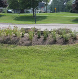 Hambden Township Pollinator Garden Installation