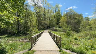 Sunnybrook Preserve  bridge 2