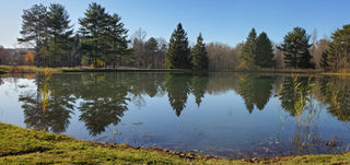 Orchard Hills park pond
