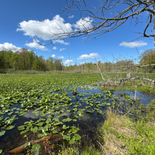 Rookery Land Purchase